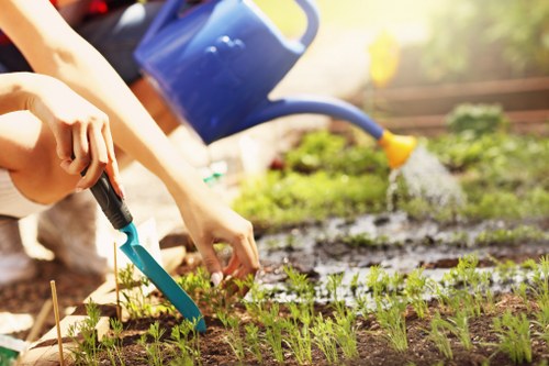 Landscaping team working responsibly in a managed outdoor setting