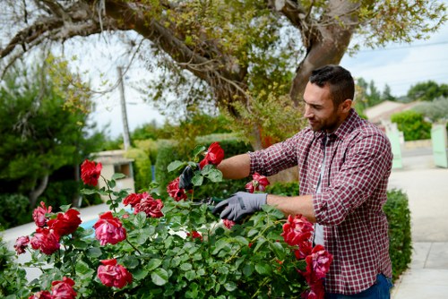 Professional secure payment section for Landscaping Pimlico services