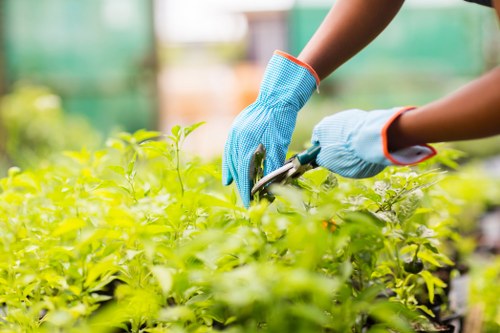 SSL-protected Landscaping Pimlico payment and security information