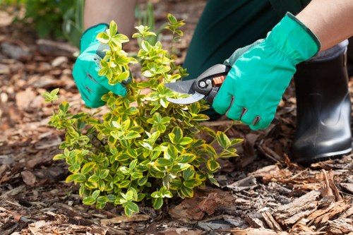 Responsible landscaping business reinforcing anti-slavery commitments