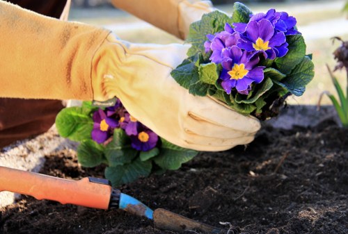 Hard landscaping and planting elements in a Pimlico garden build