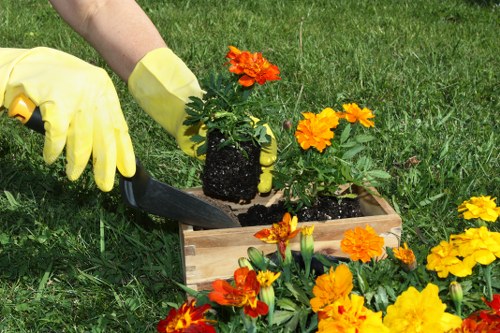 Professional landscaping in Pimlico with modern outdoor features