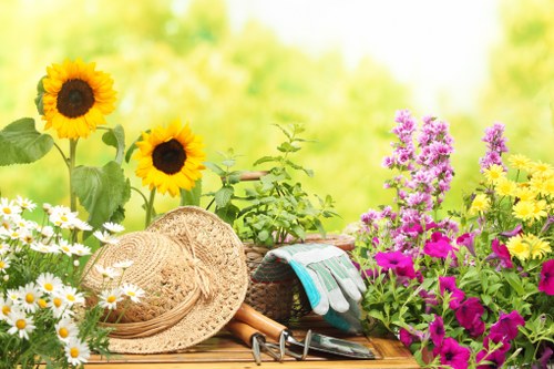 Landscaper reviewing site safety and risk controls in Pimlico