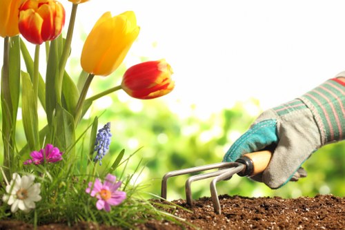Inclusive landscaping website experience for Pimlico visitors